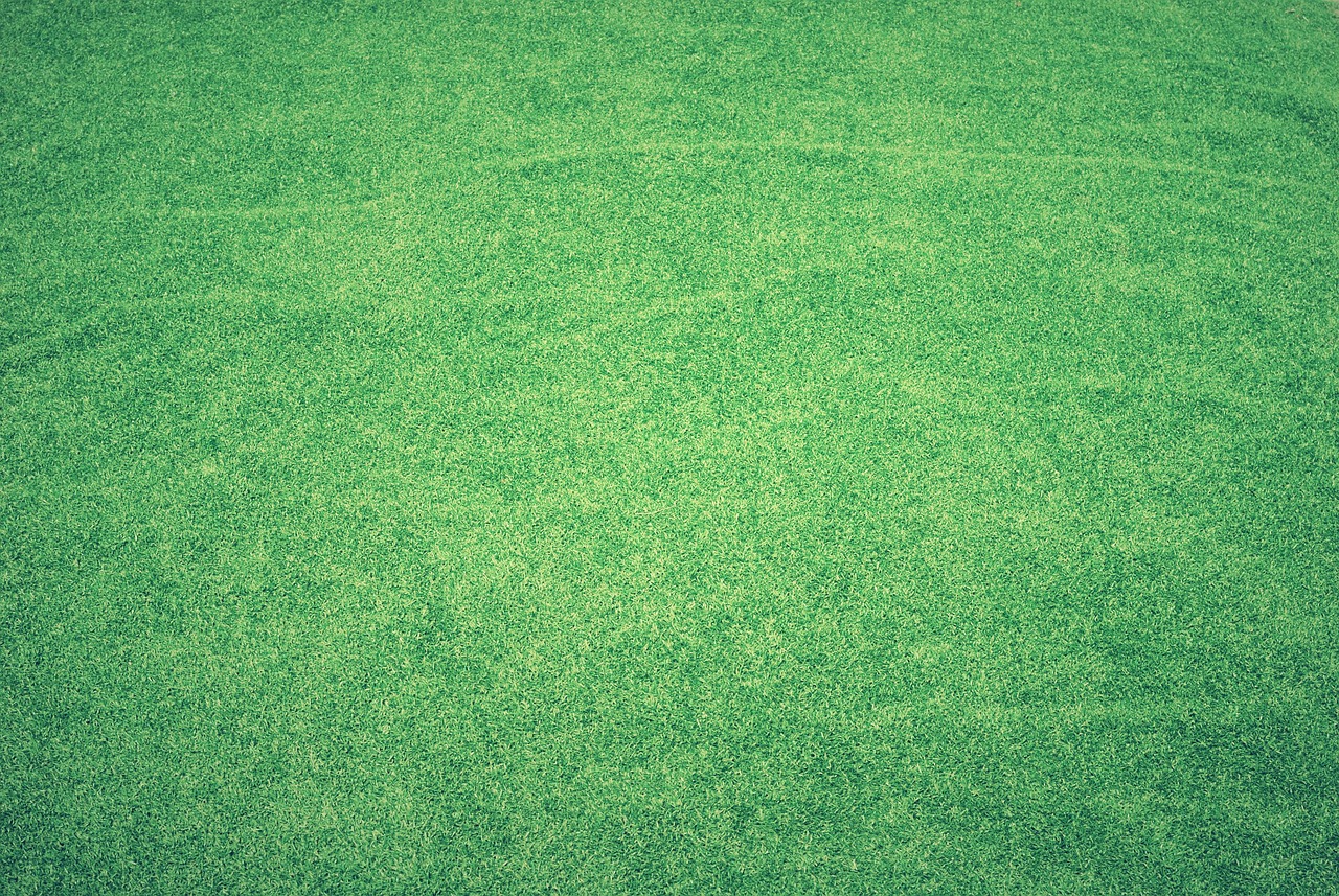 Turf farm field of warm-season grass grown for the Hilton Head Island climate